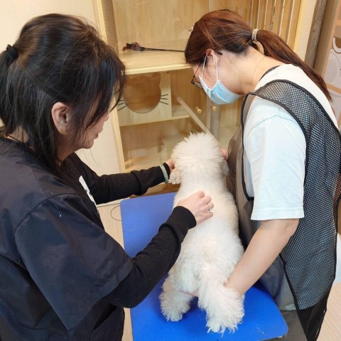 課程花絮