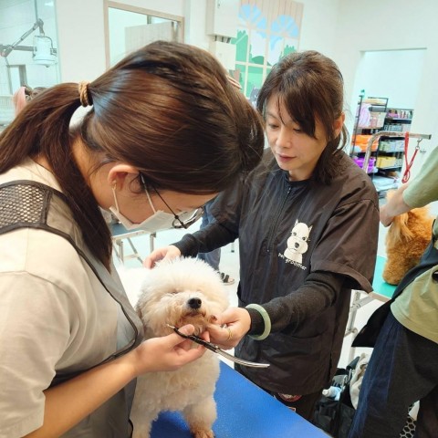 課程花絮